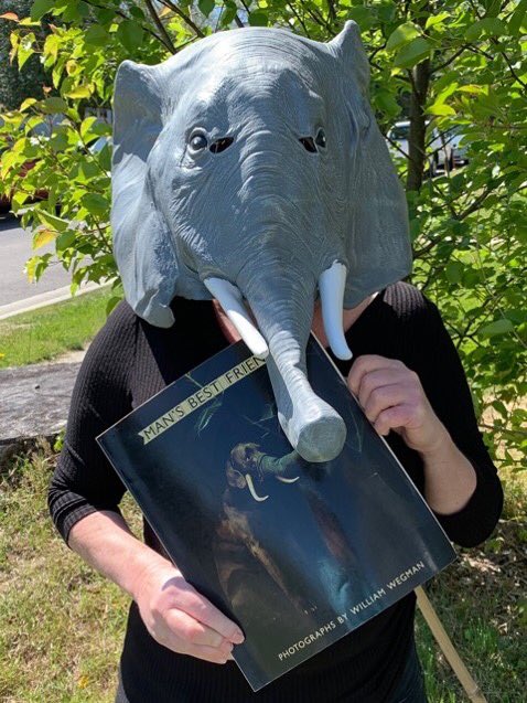 <a href="/BmoreBookFest/">Baltimore Book Festival</a> Staff favorites! 🤩📚 

#BmoreBookfits #BooksAsOutfits