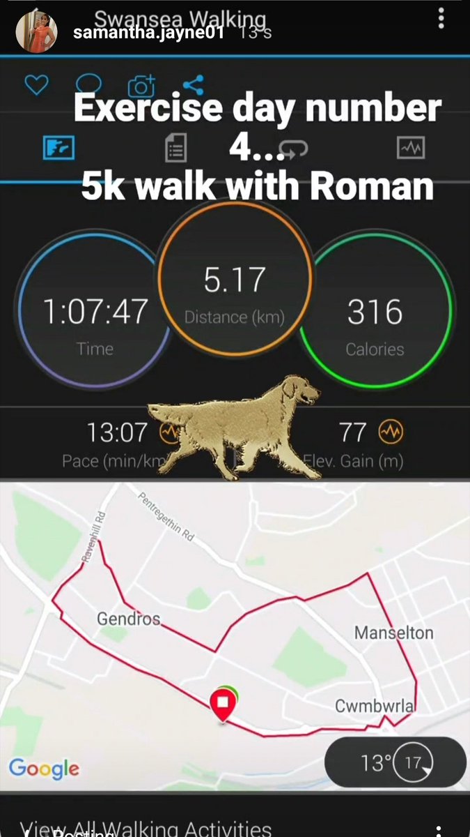 samantha1jayne's tweet image. Exercise day number 4 for this week... 5k walk with my Golden Retriever Roman 🐾🐾
#DailyExercise #lockdownuk #lockdownroutine #exercise #walking #5k #goldenretriever #fitness #fitnessjourney
