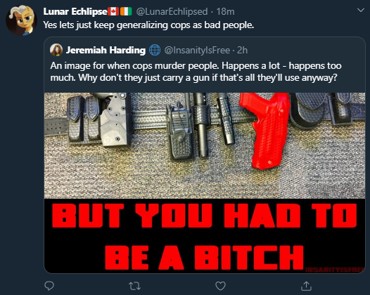 Imagine being such a simp for government that you ignore the fact I was very specific about the kinda cop I was talking about.An image for when cops... what again?Maybe don't assume you know someone's point so hard you ignore literal word definitions. https://twitter.com/LunarEchlipsed/status/1253392436262387712