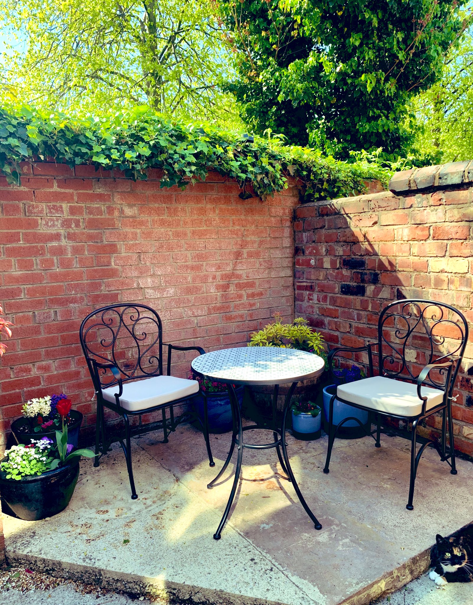 Morrisons table and chairs deals