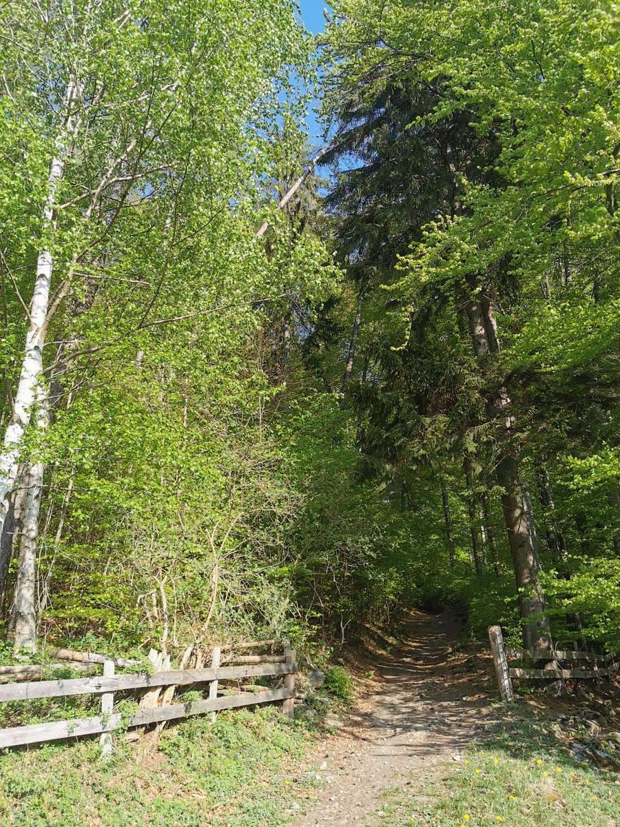 #Maienfeld isch soooooo schön ♥️