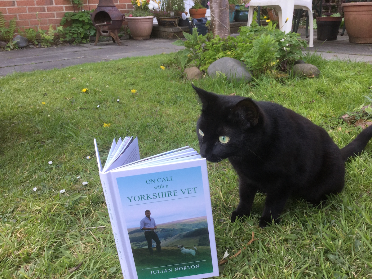 Team member Fiona’s cat Poppy seemed to be quite interested in 'On Call with a Yorkshire Vet' by Julian Norton, but became quite shocked to read about some of the vet procedures. #ReadingHour  #WorldBookNight