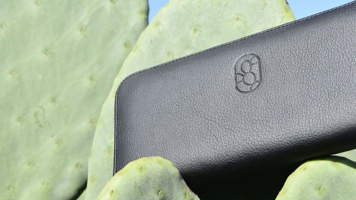 _Naeray's tweet photo. Deux hommes ont crée du cuir végan produit à partir de cactus, meilleur pour l'environnement et aussi résistant que le cuir d'origine animale, au Méxique.
Une bonne nouvelle pour les animaux et pour l'écologie, quand l'on sait que le cuir animal participe au rasage de l'Amazonie. https://t.co/L7g5dBbDMM