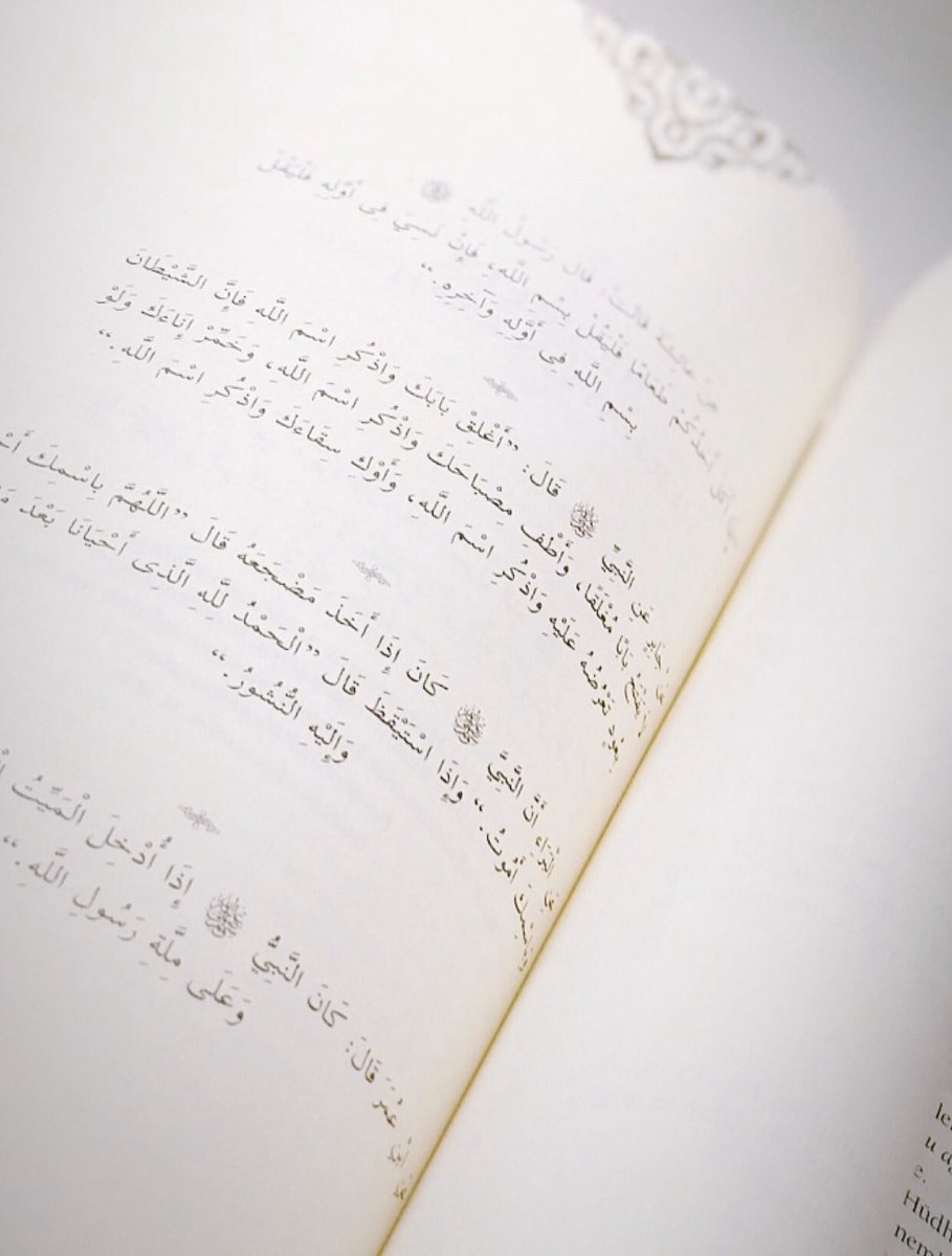 🤍
Rabbim! 🤲🏻
Benim gönlüme genişlik ver. Benim işimi kolaylaştır, dilimden de (şu) düğümü çöz ki sözümü iyi anlasınlar.”✨
⚜️