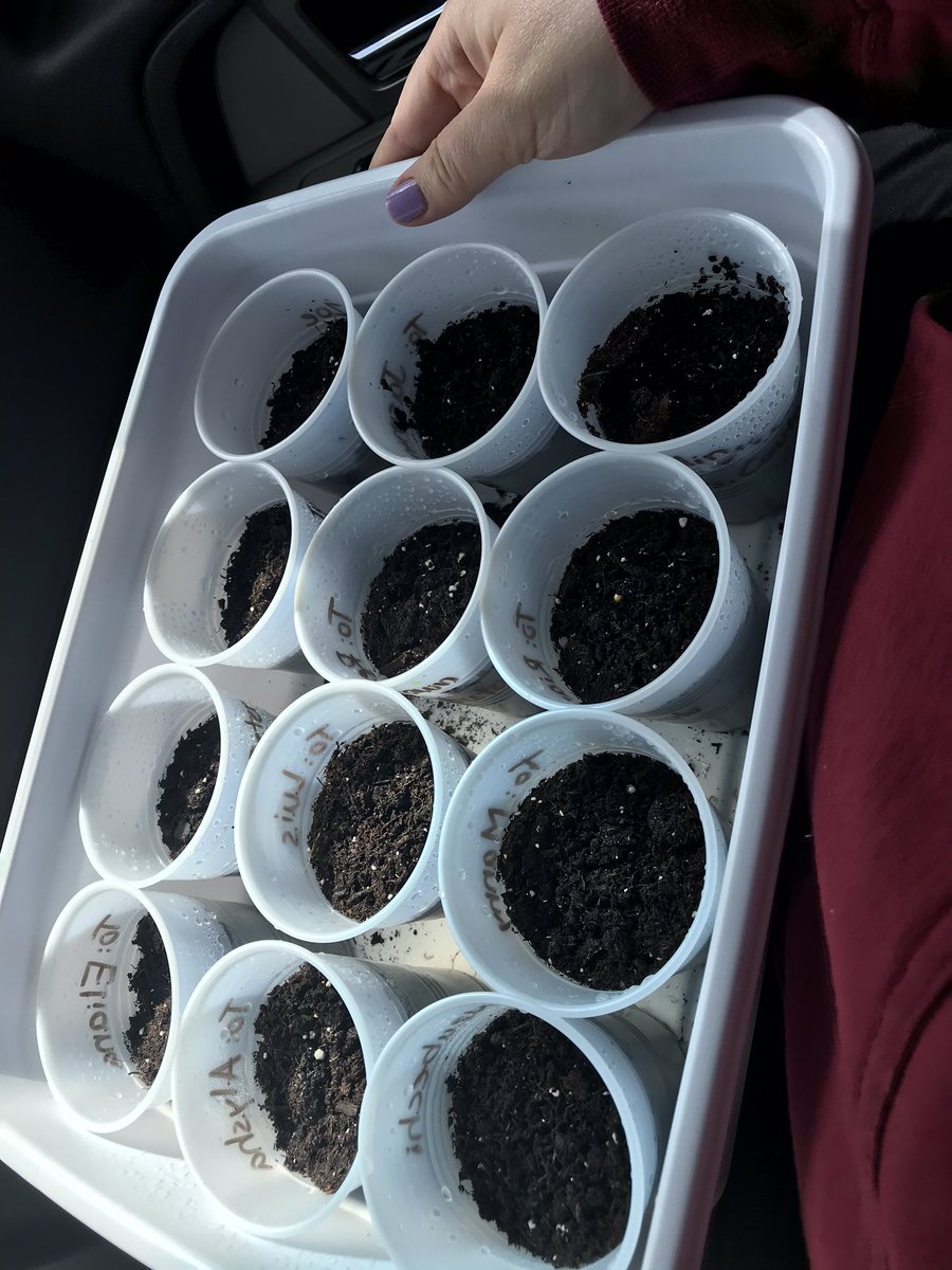 CoutoMerissa's tweet photo. Science surprises delivered to students’ front door! #plants #science #DistanceTeaching #distancelearning #missmystudents #vartangregorian #providenceschools #smartfoxes https://t.co/r1D9E7RN7m
