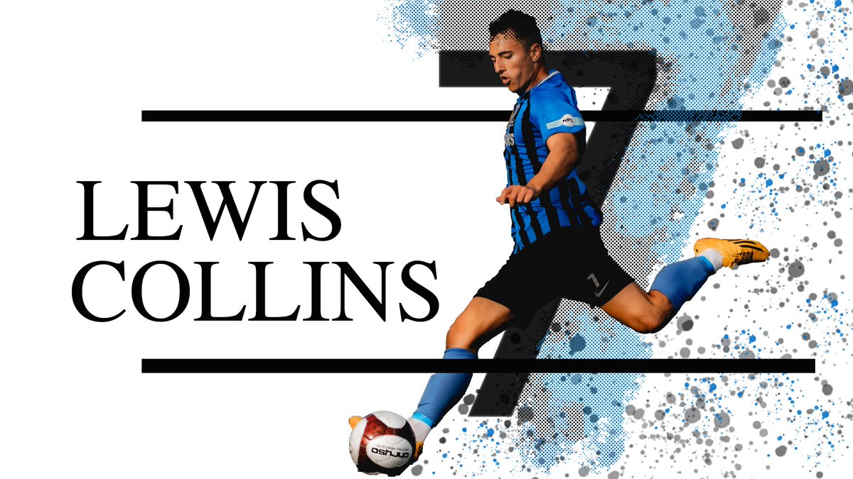 Hayden Newbegin tweet media