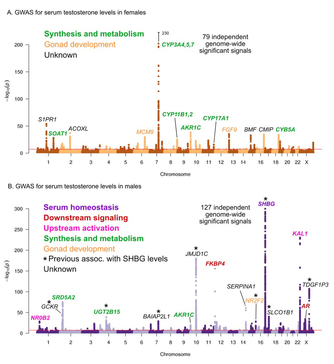 We and other groups have recently noticed strong sex differences between males and females in testosterone genetics (our analysis led by Sahin Naqvi  @snaqvi1990 and Nasa Sinnott-Armstrong). Lead hits for testosterone share ~no overlap, and highlight different types of genes