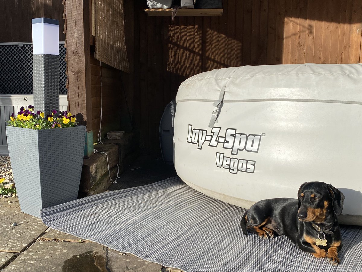 pp2811's tweet image. Spring nights #happydays #beernbbq#lay-z-spalay-z-dog#daxie