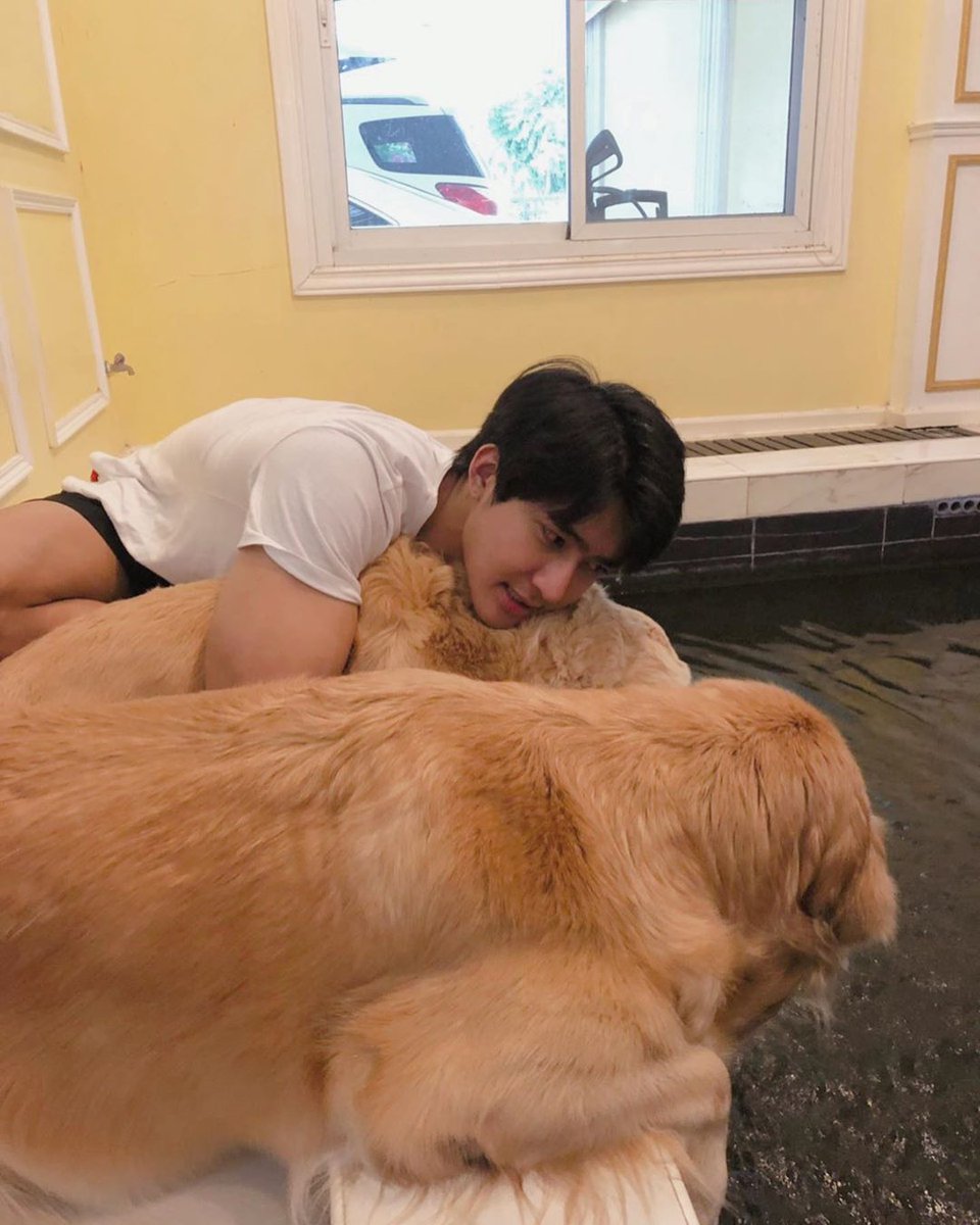 EARTH AND DOGS !!!