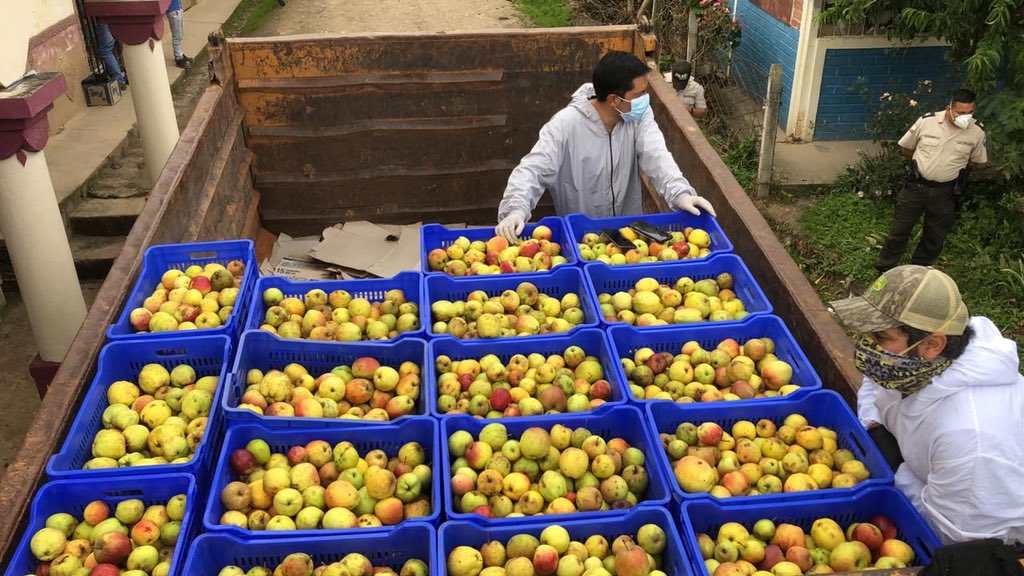 Junto a nuestros productores llevamos al Guayas la dulzura de nuestro campo y el abrazo de un ecuatoriano a otro. Somos 🇪🇨 solidario #GraciasProductores por sus donaciones.
