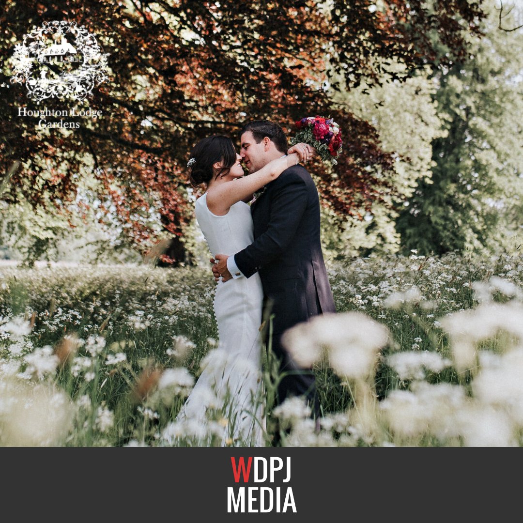 WDPJMedia's tweet photo. We have been working with @HoughtonLodge for over four years. We designed, built and manage their #website and provide #SEO services for them.

"An exceptional wedding venue for weddings and bespoke events, set on the idyllic river test."

https://t.co/PJIlknBTns https://t.co/np16l7fdW3