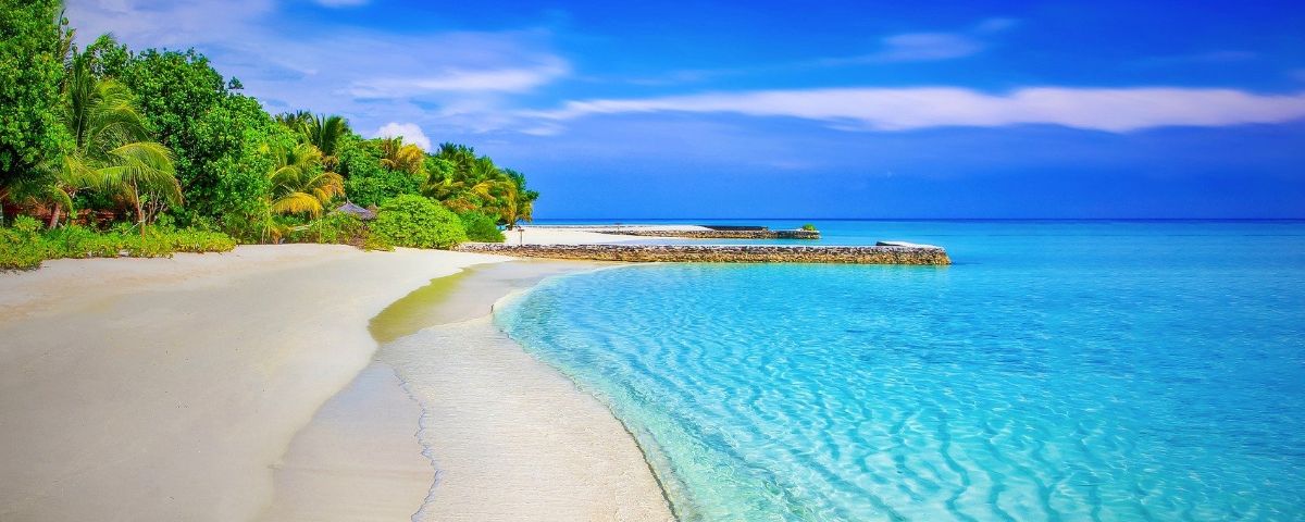 ☀ Here's to new beginnings... 
#travel #halaltravel #halaltourism
- mailchi.mp/9d490e666918/h…