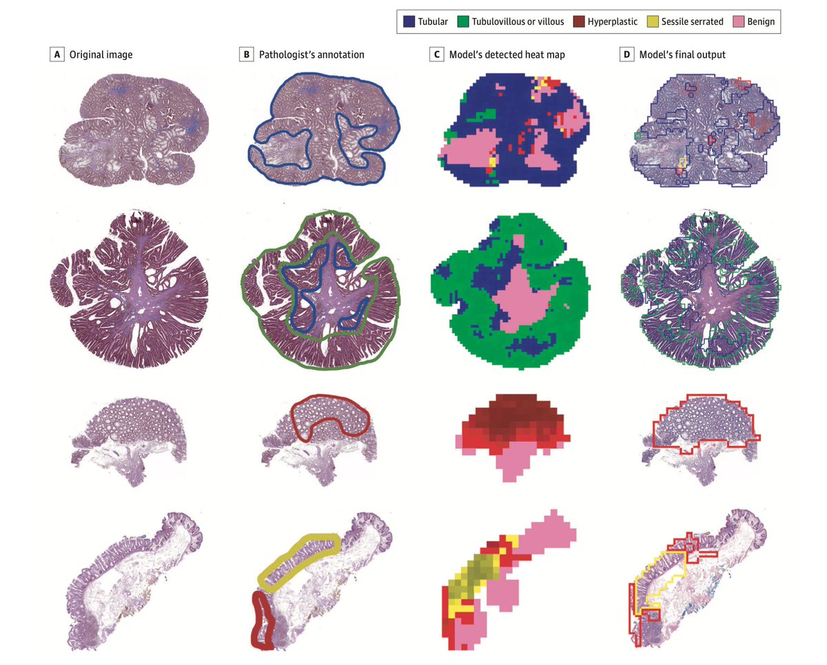 Saeed Hassanpour tweet media