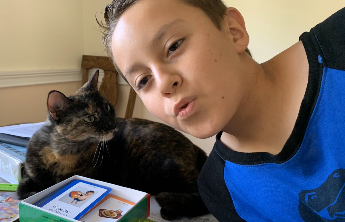 SaraBarry2017's tweet photo. CES Spirit week includes our furry friends!  Kadin loves saying hi to our 🐱 while doing his lessons  and during break time! @CESCorkyBear @collierschools @HennessyCES https://t.co/ME8Q8dM5xq
