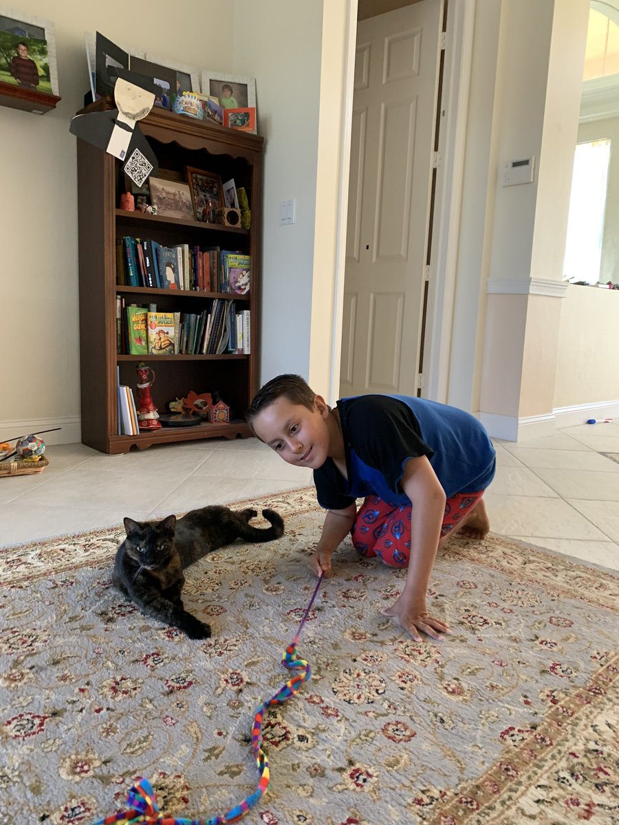 SaraBarry2017's tweet photo. CES Spirit week includes our furry friends!  Kadin loves saying hi to our 🐱 while doing his lessons  and during break time! @CESCorkyBear @collierschools @HennessyCES https://t.co/ME8Q8dM5xq
