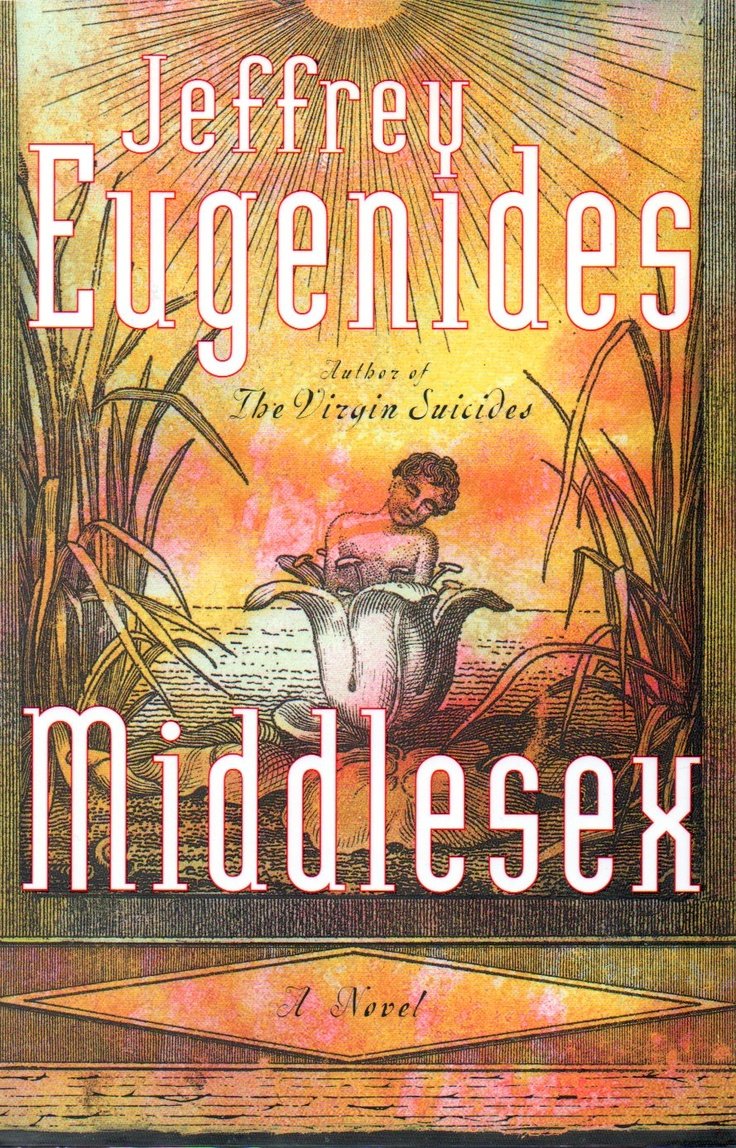 MIDDLESEX (2002) by Jeffrey Eugenides describes the life of intersex Cal. It's written like a Greek play and has a very sensitive voice.