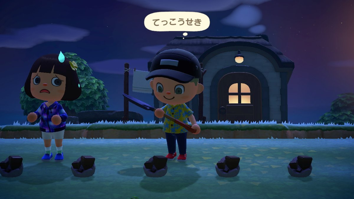 Funaaaaaaa's tweet photo. #どうぶつの森 #AnimalCrossing #ACNH #NintendoSwitch https://t.co/cqAccLGUXL
