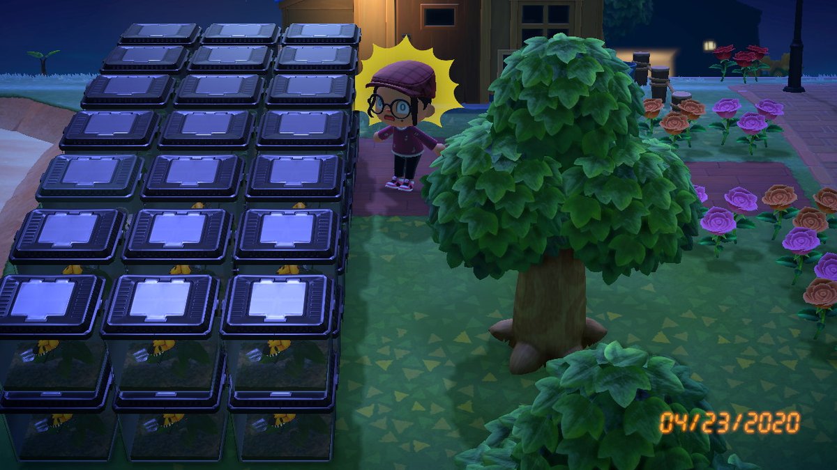 KomiExplosion's tweet photo. population control... #AnimalCrossing #ACNH #NintendoSwitch https://t.co/7bPkShCow8