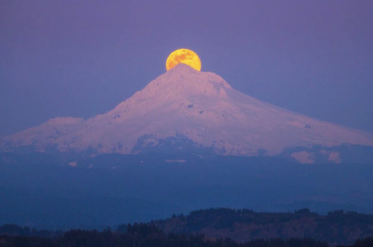inMtHood's tweet photo. Still can’t get over how amazing the super moon was earlier this month! And we are in love with this shot by Instagrammer dreamcapturedimages who caught the moon rising over Mt. Hood! #omht https://t.co/4sEaEsyz4Y