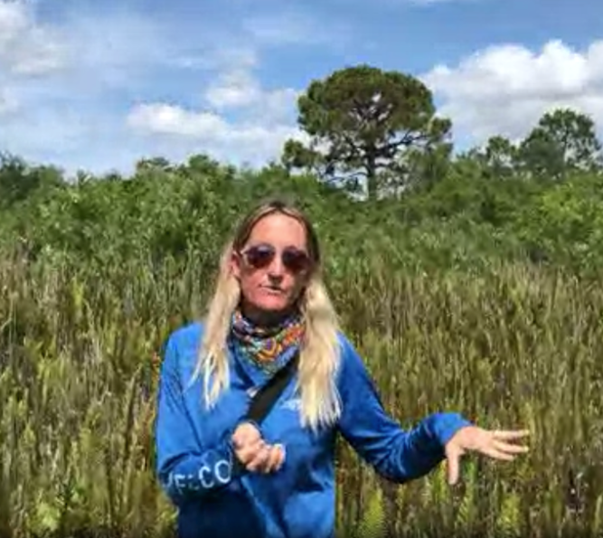 So much fun! Thank you to Benji & Alicia @pbcerm and @STEMagillPSMS for setting up another virtual adventure at the Jupiter Ridge Natural area. Spiders, carnivorous plants, and more!