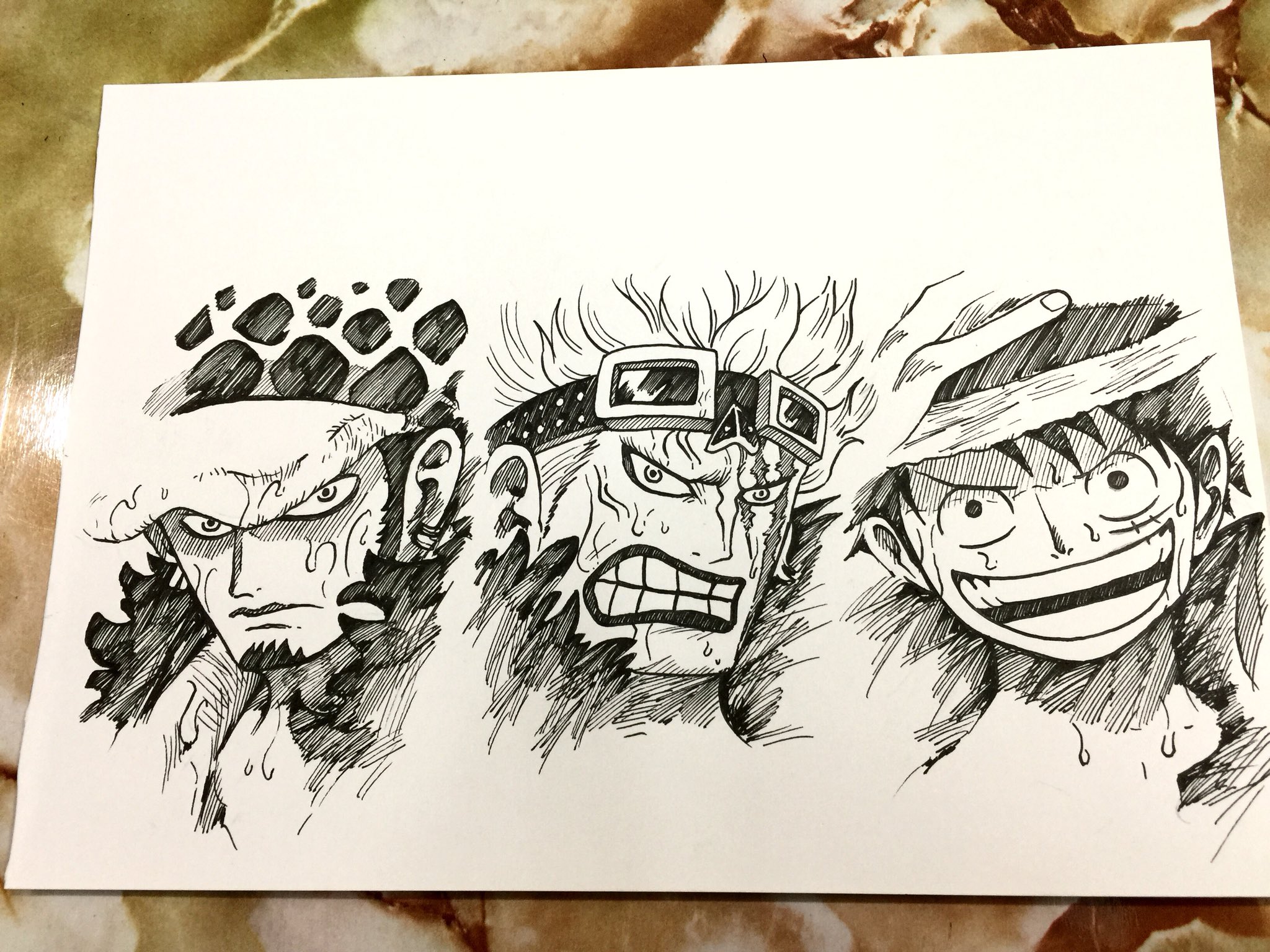 Braden D Tan 海贼王 Onepiece Luffy Law Sketch Pen Draw Drawing Mangaart Anime Manga Otaku Art Artwork Fanart Illustrationart Illustration T Co Jhwe2nxt77 Twitter