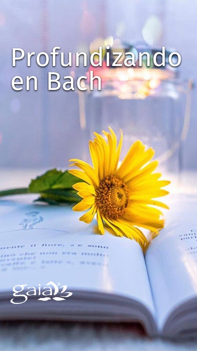 RMundoNuevo's tweet photo. Profundizando en Bach 🌺 - Iván Andrés Santandreu, profesor del Diplomado en Terapia Floral de la Escuela de Medicina Vibracional, ofrece una selección de textos para profundizar en Bach. * https://t.co/NhItzf90Mc * https://t.co/IhNq6Y7uIH