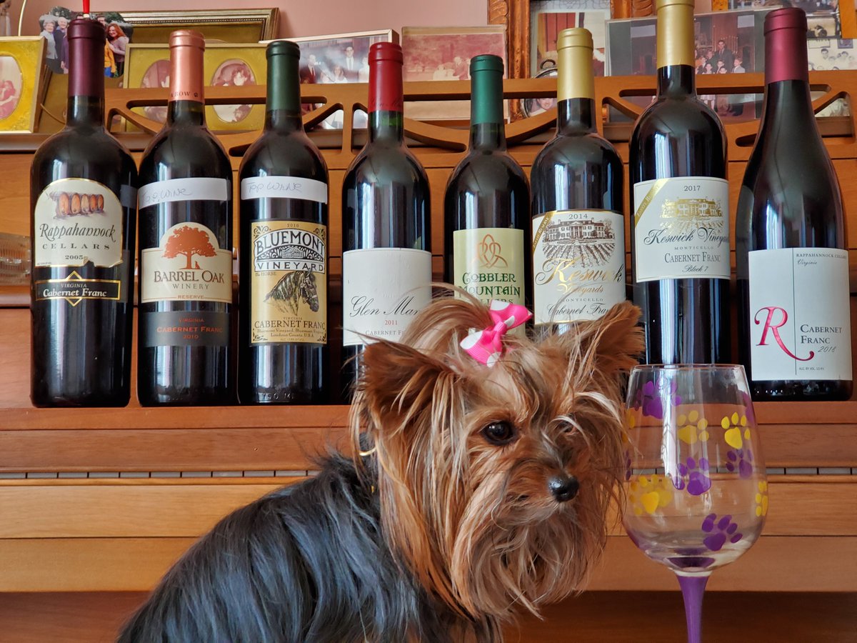 VAWineDogs's tweet photo. Looking forward to talking about Cab Franc with @DrinkWhatULike this evening. But oh, what bottle to open. Decisions, decisions. #VAWine #VAWineTogether https://t.co/NdDHvVc7fC