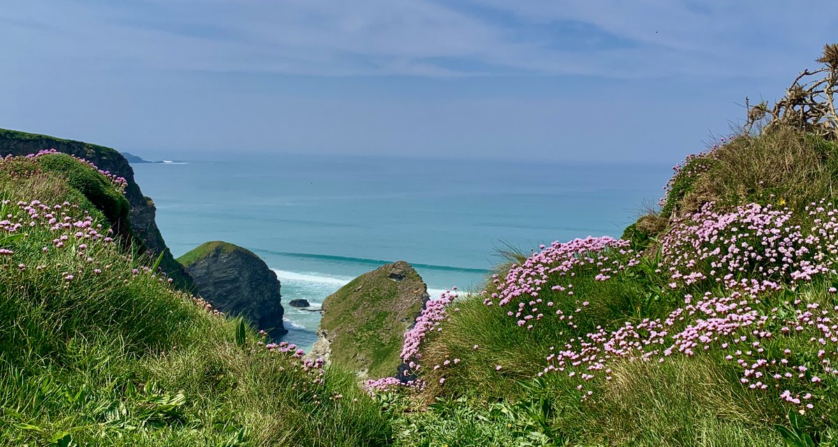 People have been roaming these cliffs for 10,000 years. Today, with no planes, no cars and no one else around we felt as though we had stepped back in time. There was even driftwood on the beaches. #Cornwall
