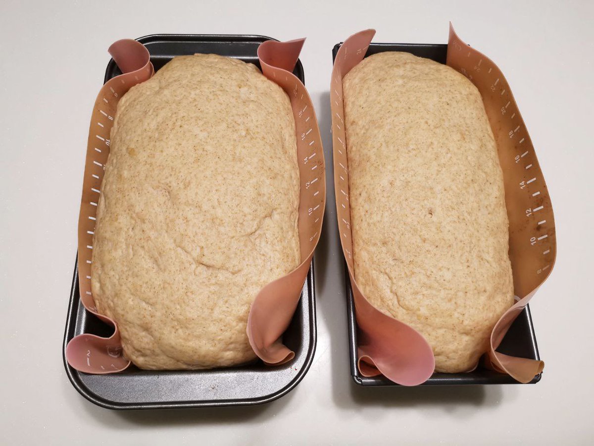 JojoSekri's tweet photo. We baked Fresh wholemeal Toastbrot /Toast Breas
JojoCookingMagic Homemade Toast Bread
JojoCookingMagic Recipe
#wholemealtoastbread #toastbrot #freshbaked #homemadetoastbread #halalbread #naturalingredients #homemade #baking #healthyfood #healthydiet #foodie #goodfood #halal https://t.co/vP5GBWVnvG