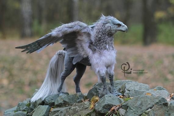 celestefbfb's tweet image. Animas celeste de outro mundo @feras
:/ 👉🏻☺️   🌈🌔 com deus  a muitas morada