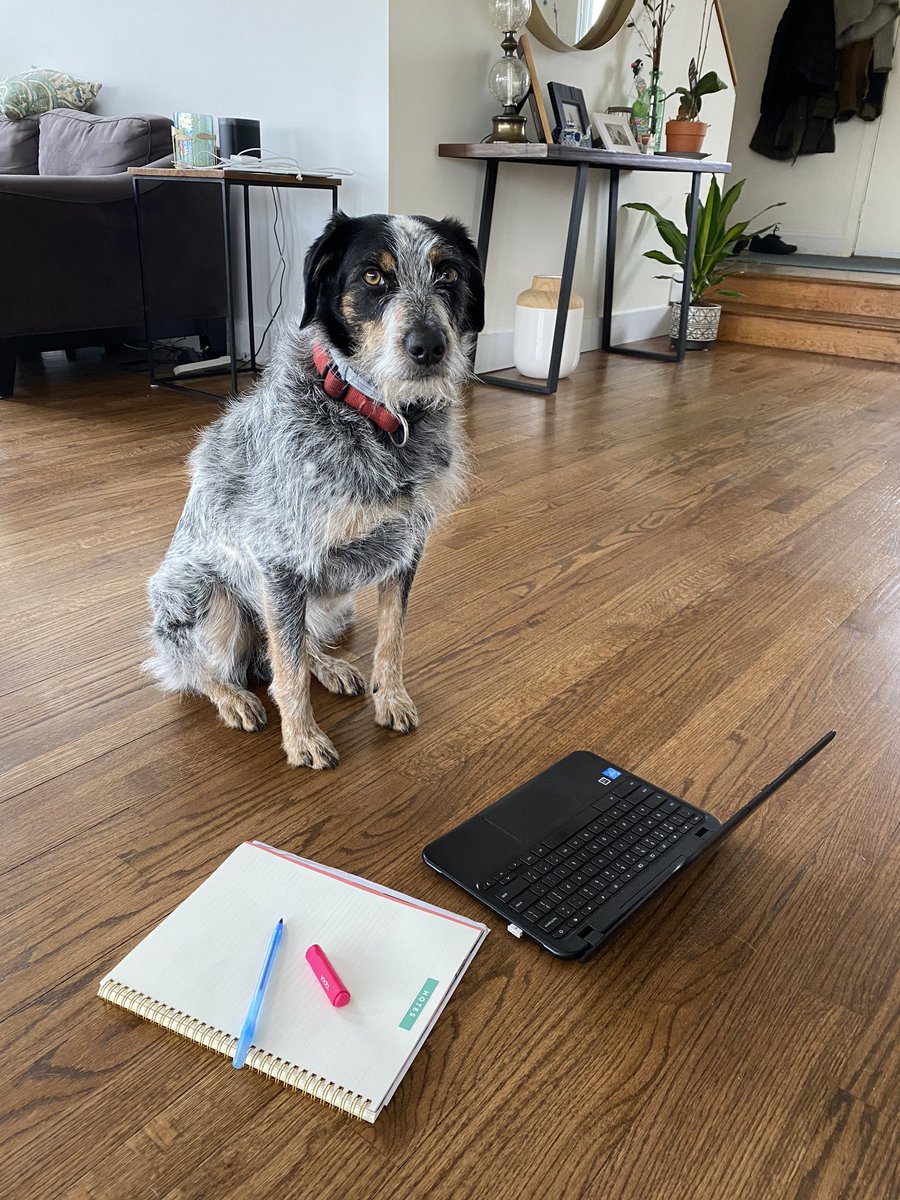 MsStrano's tweet photo. Rev is hard at work today during #VirtualSpiritWeek! 😍 #WeAreHB #HBStrong https://t.co/zZ9sJPYJsh