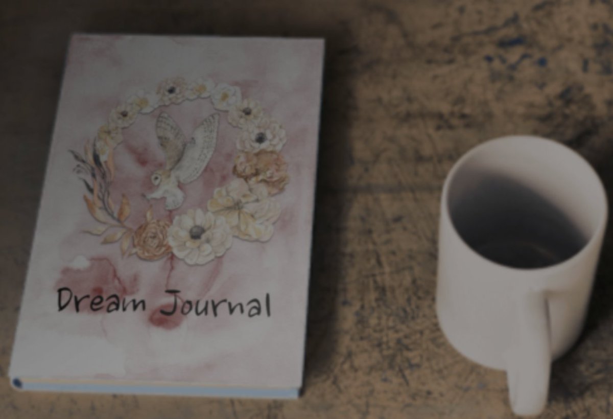 UsePLR's tweet photo. [We Have a Coupon] Dream Journal

Our very own Jenn Alex Brockman has released a beautiful dream journal.

https://t.co/wBOOHyx7BU

#JournalPLR #DreamPLR #SleepPLR https://t.co/5NvEWPet7n
