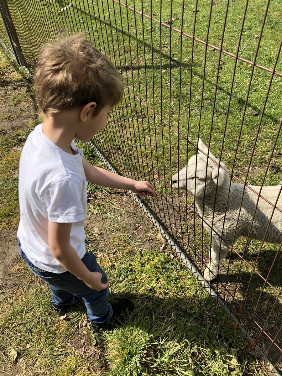 Rachiemummy's tweet photo. @LeasStAndrews1 Ollie had a wonderful walk today and he’s going to write a story about all of the wildlife and animals that he saw 😊 #StaySafe #lockdownuk #LearningNeverStops #gettingexercise https://t.co/diwk1d1lnQ