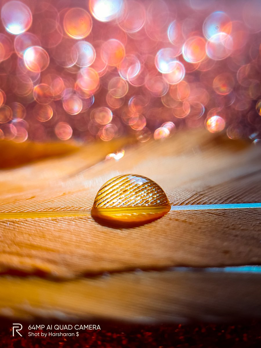 harshclicks's tweet photo. Pearl's are always Appropriate โจ
#beapearl
#OrdinaryYetExtraordinary
@realmecareIN @realmemobiles
@NeonVikash @rohitpawane1 https://t.co/25l6lc7gUO