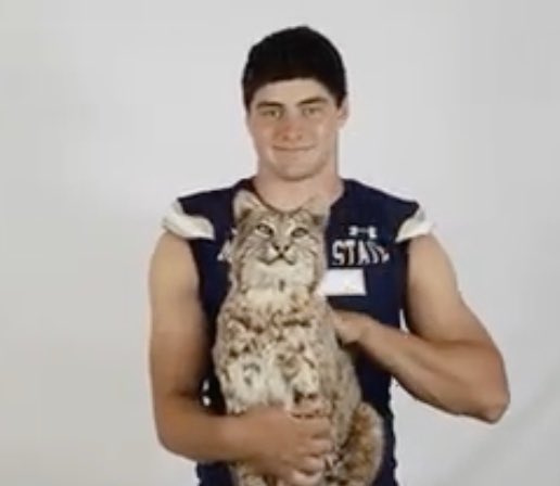 BJ Robertson tweet media