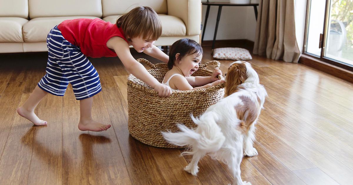 The petting room. Family Living Room Pet. Children and Pets. Kids and Pets with Floor. Family playing with Dog in Living Room.