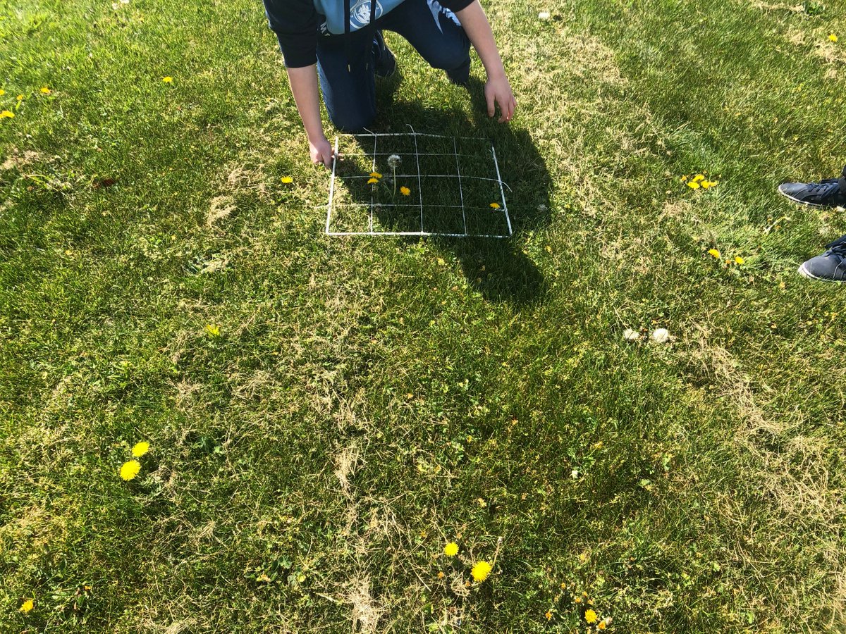 northcamacademy's tweet image. Key stage 4 pupils at school today, have been doing sampling of the different plants that are growing at the front of the school and enjoying this lovely sunny day ☘️🌼☀️ #outsidelearning #Science