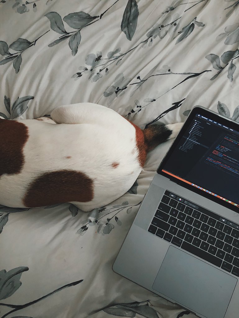I feel productive today, after months at work, I finally have a fully functional, easy to install pipeline for repeat analysis. As always my trusty sidekick was there for encouragement. There is still more work to do in terms optimization, but finally... bit.ly/353gWwS