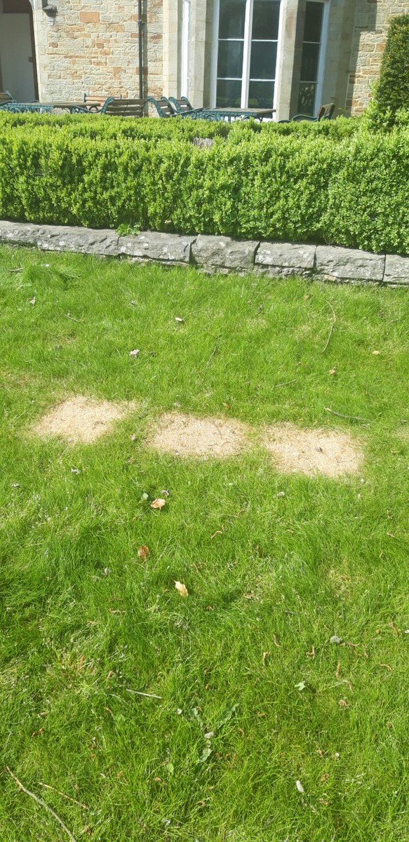 Sad to report that visitors have been having barbecues on the newly laid lawn outside Bryngarw House, causing damage to the membrane underneath the grass. The park is currently closed to all but local walkers. The police have been informed. #StayHomeSaveLives