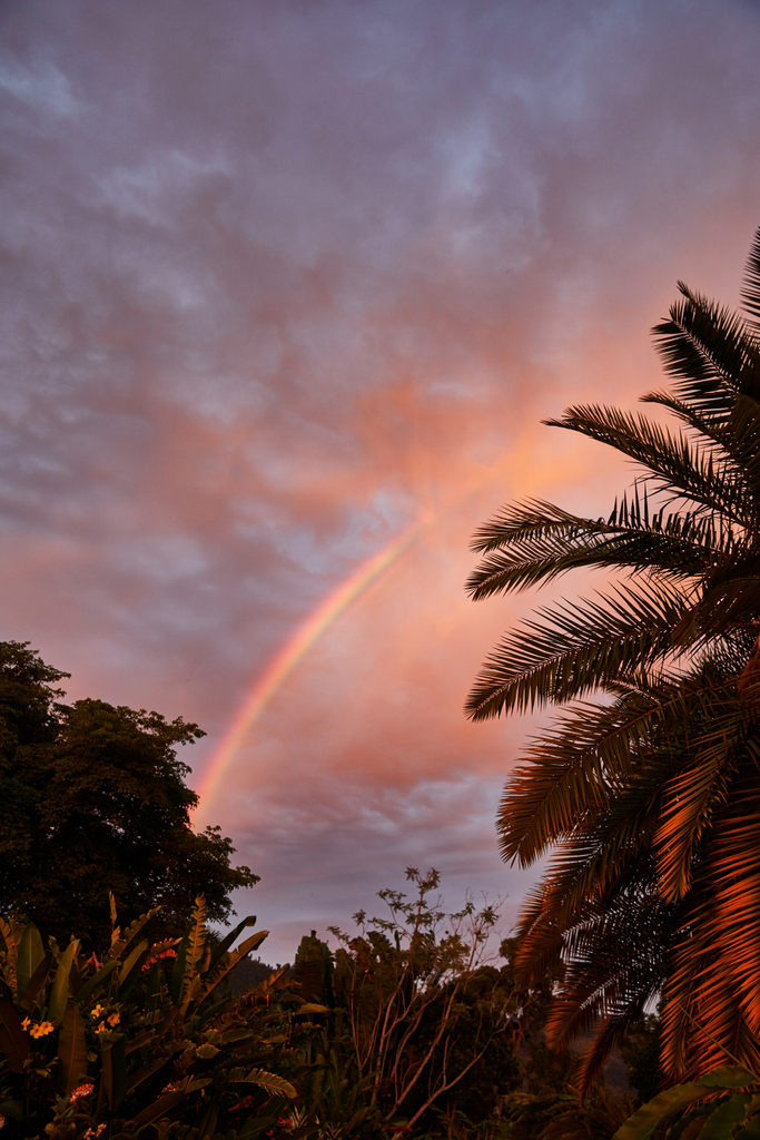 #SoonComeJamaica 🇯🇲
#StrawberryHill #BlueMountains #IslandOutpost #BeautifulDestinations #CometoHeal #EscapetoJamaica