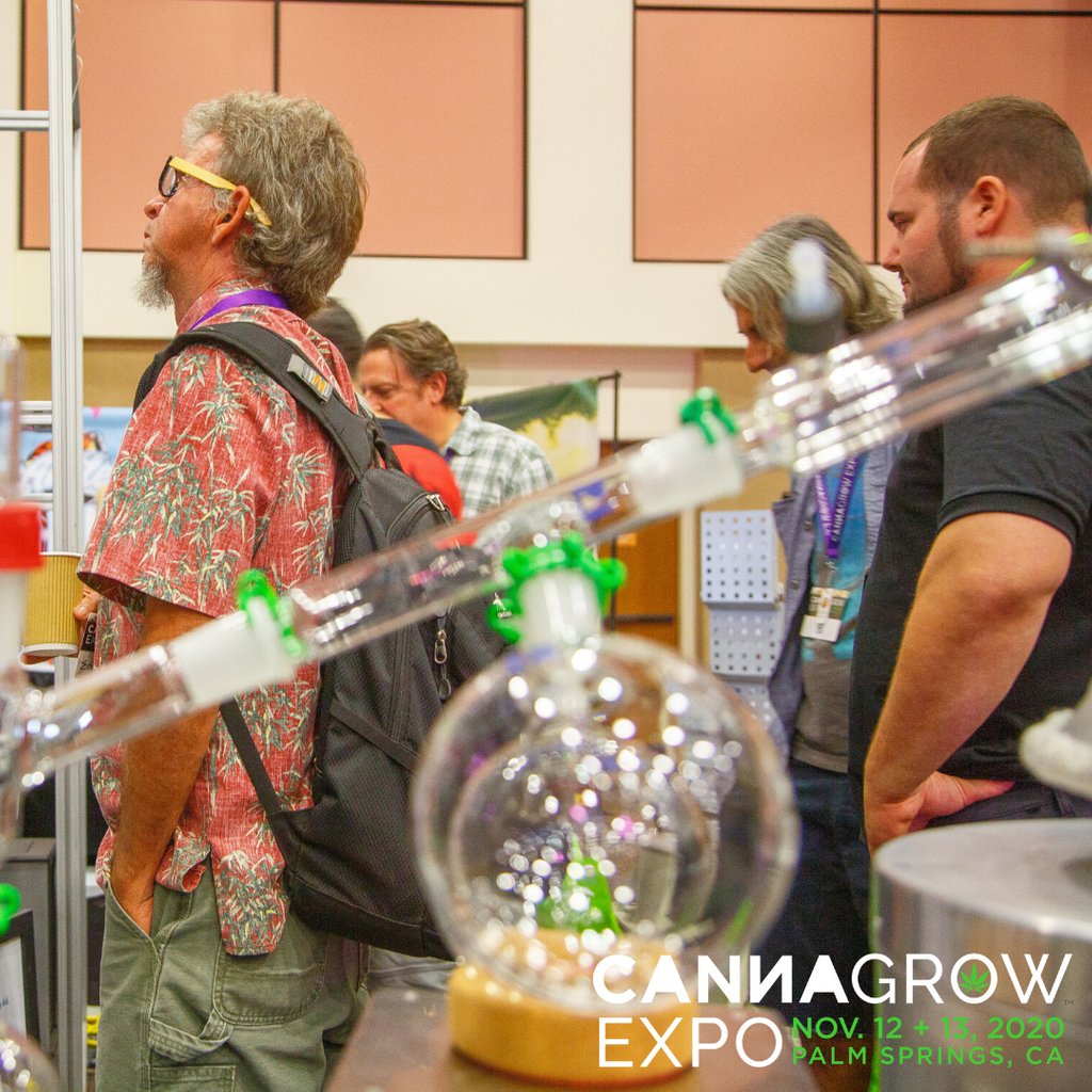 CannaIndustry's tweet photo. Learn all about the newest tools and tech for cannabis production at the 10th #CannaGrowExpo in Palm Springs, November 12 + 13, 2020!

Featuring 2 days of education, a 155+ booth expo hall and networking with 2800+ new friends.

Register today at https://t.co/UQzfY6t2BV https://t.co/4yMTX8ddZF