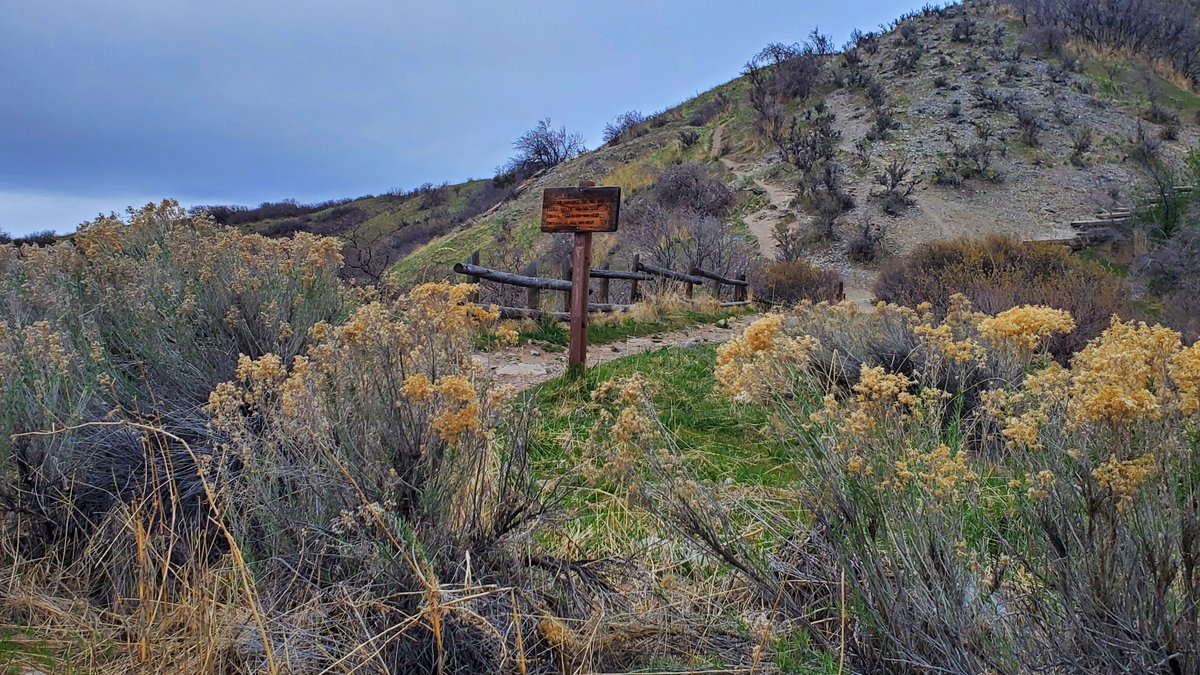 workingitoutnow tweet media