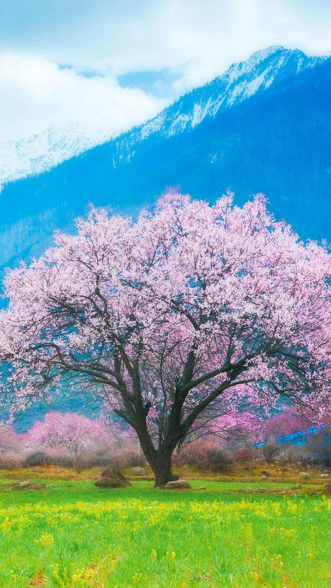 Another week &amp; another batch of outstanding tracks and artists on The Folk Pilot, none finer than our album of the week, Our Bright Night from Kirsty Merryn and a wonderful track from Merry Hell to close. The Folk Pilot, Thursday night at 7pm on dealradio.co.uk &amp; TuneIn