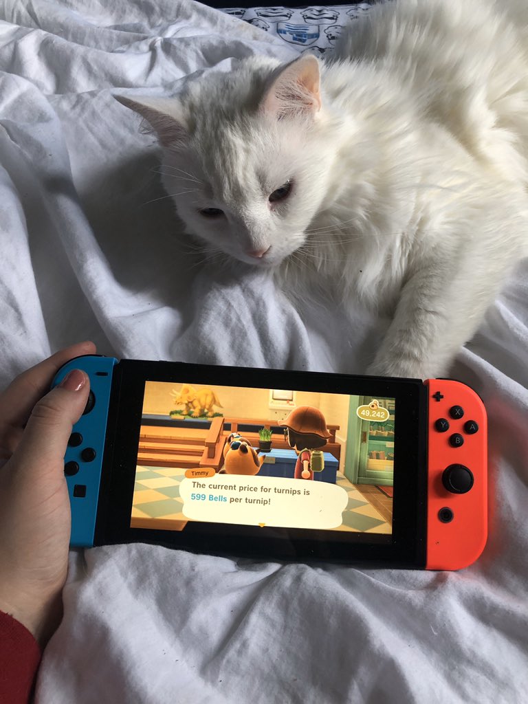 Девушка объявила, что репа на её острове в Animal Crossing: New Horizons стоит 599 диней — и к ней приехал Элайджа Вуд