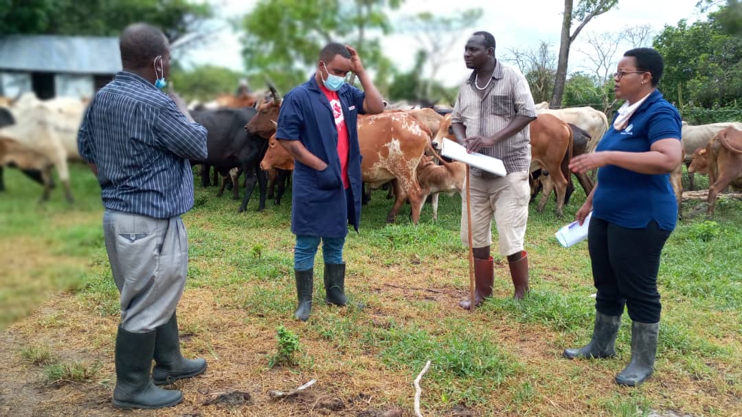Mtafiti wa Mifugo Bi. Neema  Urassa Mfugaji Bw. Mohammed Soa wataalam wa Mifugo Bw. Michael Mwinama na Juma Mohammed  wakiongea na kumuelimisha mfugaji uyo  namna  ya kufuga kibiashara na  uhimilishaji na faida zake  kwenye kijiji cha Kondomwelanzi wilaya ya mkuranga mkoani Pwani