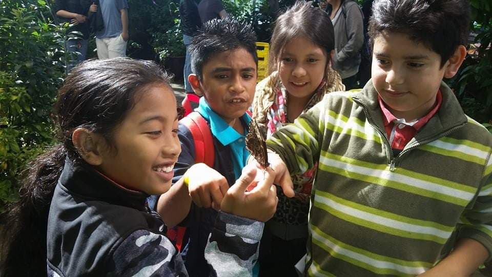 beyondthefrontp's tweet image. #btfptbtapr2016 Tennessee Aquarium offers a guaranteed special experience for our students every year. We offer motivation, support and family engagement. Stay safe till it's time to see us return! #BTFPfieldtripsROCK #studentexplorers #pricelesssmiles