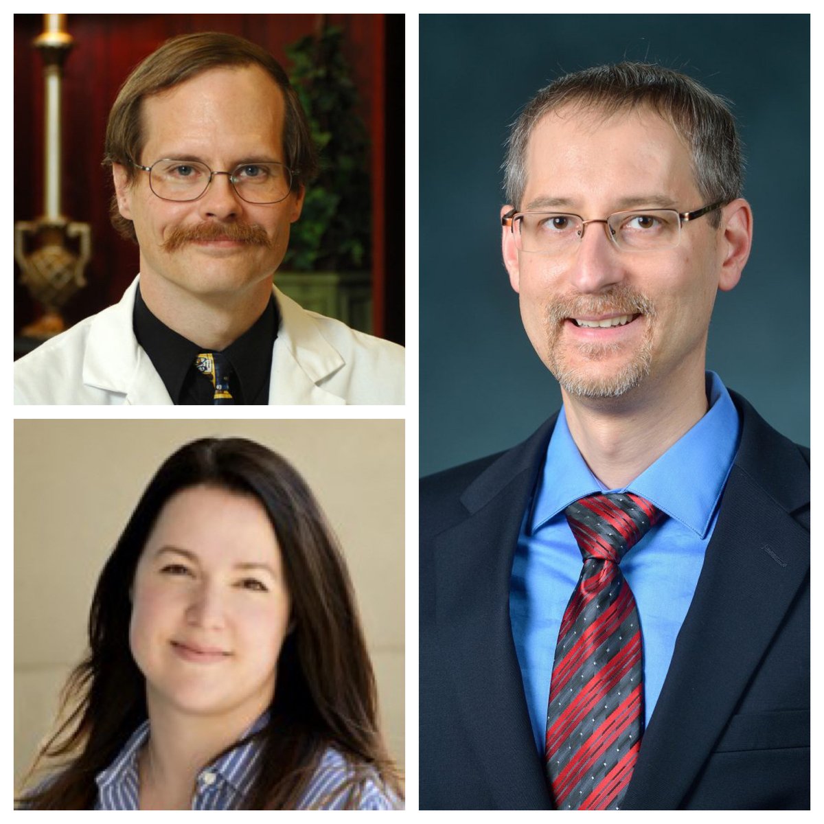 olemisspharmacy's tweet photo. Congratulations to David Colby, Meagen Rosenthal and Gary Theilman, as these #OleMissPharmacy faculty members have been named Distinguished Teaching Scholars!
Learn more about our #StellarFaculty | https://t.co/wiT70UElz3 https://t.co/hKXadjqpNI