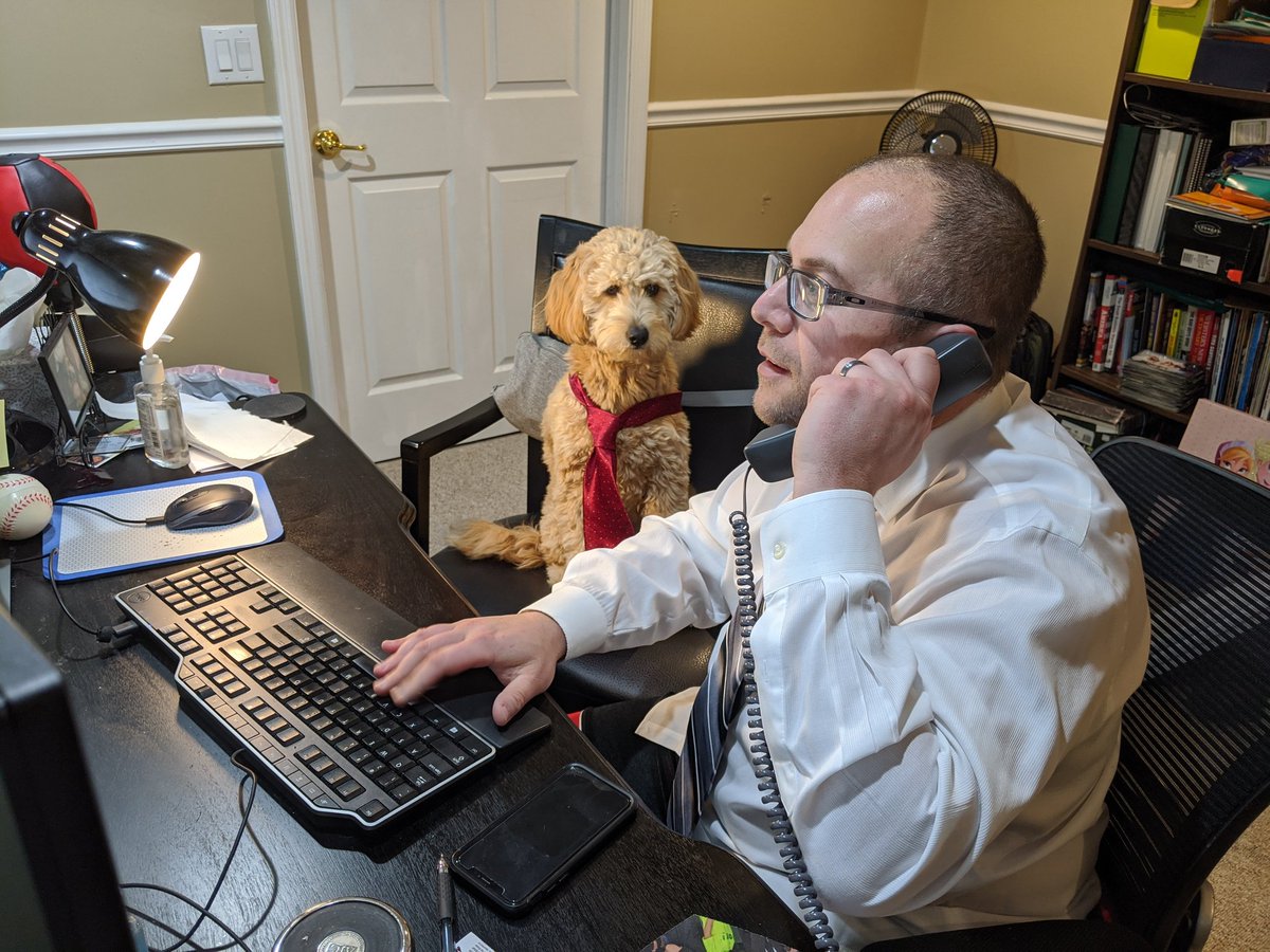 Esta Stein tweet media