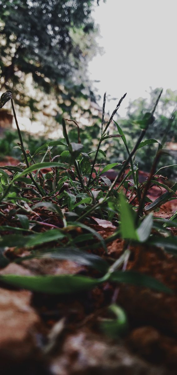 Sandeepmane106's tweet photo. #photographer #photography https://t.co/lxM6taFYX3