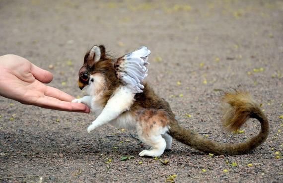 celestefbfb's tweet image. Deuses cri um animal celeste mostra.   Oitavo anjo 😇 você mora com os deuses pede para ele mostra que é maior que eu 😌🕊